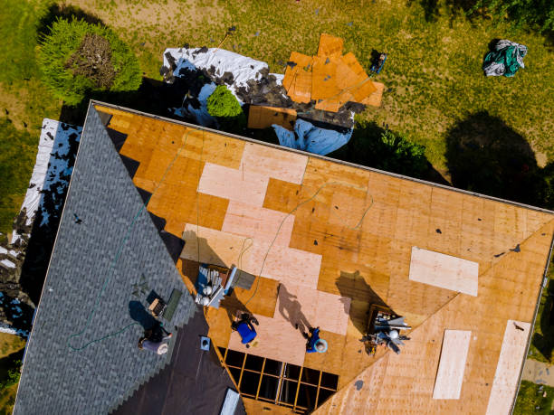 Best Roof Gutter Cleaning  in Cumberland Head, NY